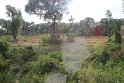 IMG_7555