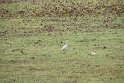 IMG_7560