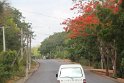 IMG_7564
