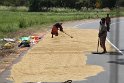 IMG_7566