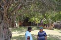 IMG_7570