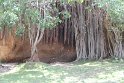 IMG_7572