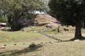 IMG_7573