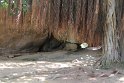 IMG_7574