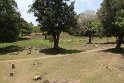 IMG_7581