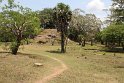 IMG_7584