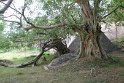 IMG_7587