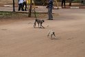 IMG_7599