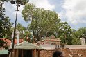 IMG_7612