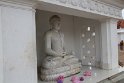 IMG_7650