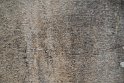 IMG_7651