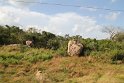 IMG_7658