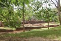 IMG_7695