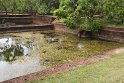 IMG_7702