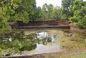 IMG_7703