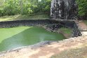 IMG_7726