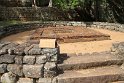IMG_7733