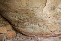 IMG_7741