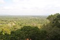 IMG_7769