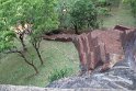 IMG_7776