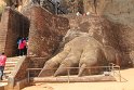 IMG_7787