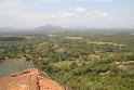 IMG_7806