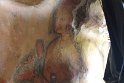 IMG_7829