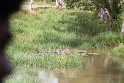 IMG_7882
