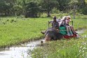 IMG_7886