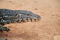 IMG_7904