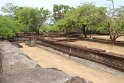 IMG_7923