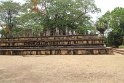 IMG_7928