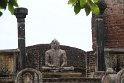 IMG_7950