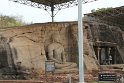 IMG_7982