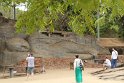 IMG_7986