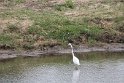 IMG_8002