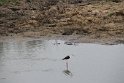 IMG_8003