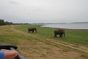 IMG_8008