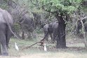IMG_8017