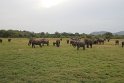 IMG_8032