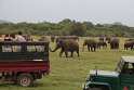IMG_8036