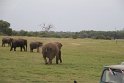 IMG_8038