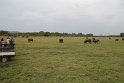 IMG_8046