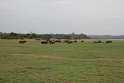 IMG_8047