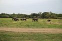 IMG_8058