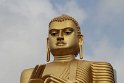 IMG_8068