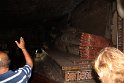 IMG_8098