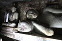 IMG_8103