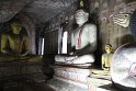 IMG_8104