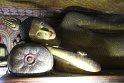 IMG_8137
